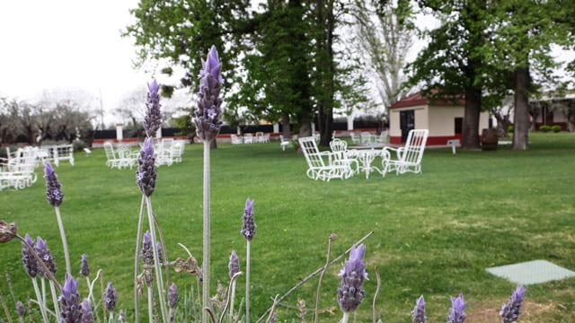 Jardim da Bodega Alta Vista.