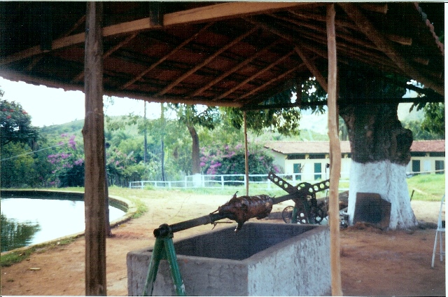 Porco no rolete: almoço em uma das cachoeiras dentro de uma fazenda