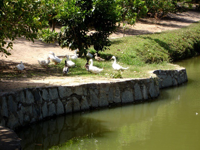 Norte Grande, em Alagoas