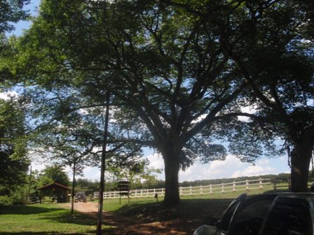 Fazenda Areia que Canta