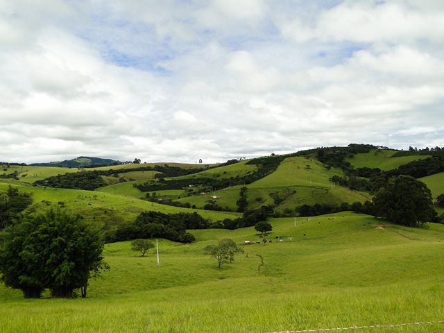 Um pouco de paisagem