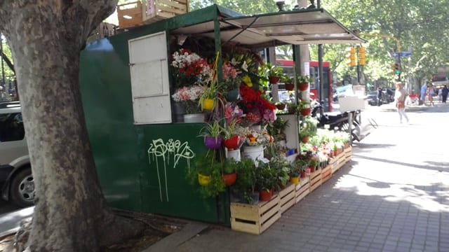 Assim como em Buenos Aires, Mendoza também possui várias barracas de flores.