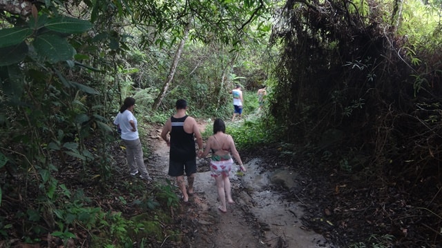 Trilha para a Cachoeira do Prumirim, em Ubatuba.