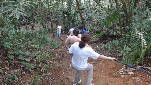 Trilha Cachoeira do Prumirim, em Ubatuba.