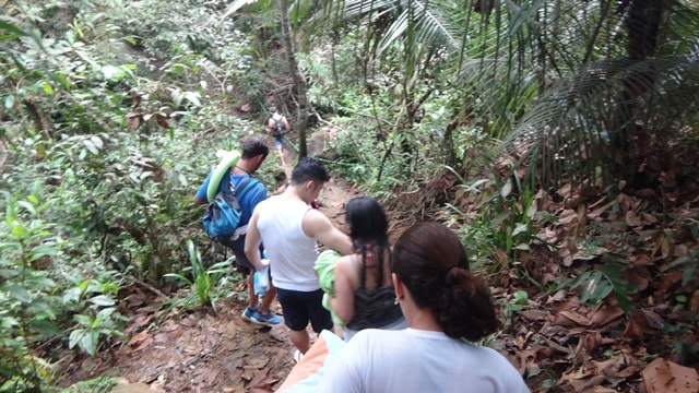 Trilha final da Cachoeira do Prumirim, em Ubatuba.