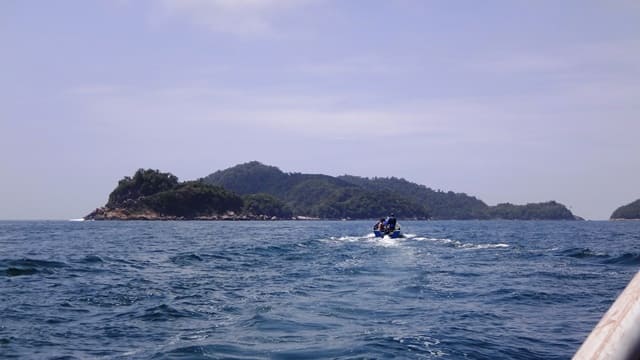 Navegando até a Ilha das Couves.