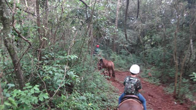 Cavalgada no parque Recanto das Cachoeiras.