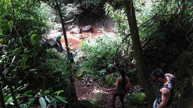 Trilha até a Cachoeira das Lebres.