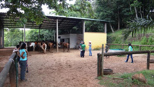 "Guardando" os cavalos no estábulo.