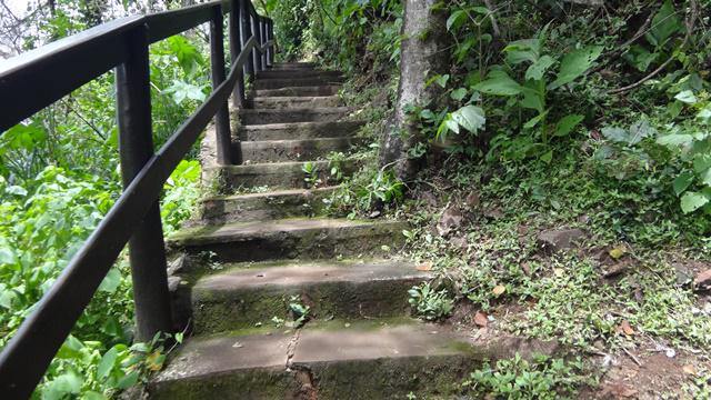 Trilha para a Cachoeira Santo Antônio.