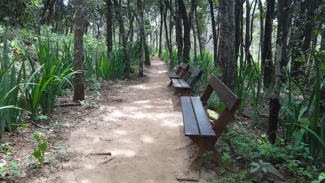 Trilha para a Cachoeira Santo Antônio.