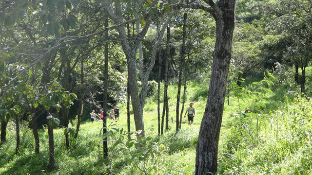 Caminhadinha básica entre as plataformas das tirolesas.