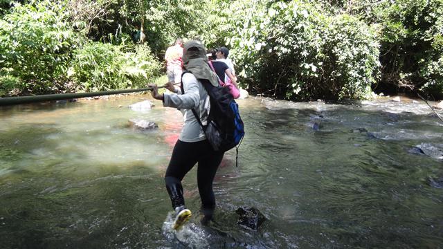 Trilha para a Cachoeira Cristal, em Brotas/SP - travessia de rio.