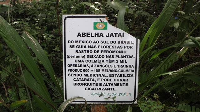 Informativos no parque temático do apiário.