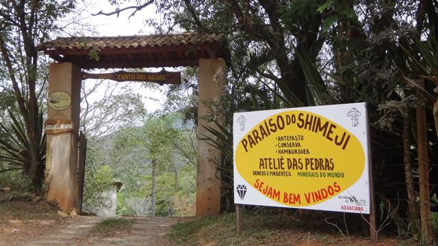 Paraíso do Shimeji e Atelier de Pedras.