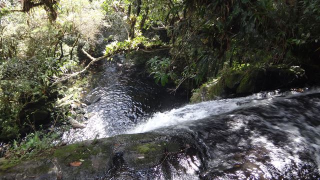 Primeira cachoeira vista por cima.