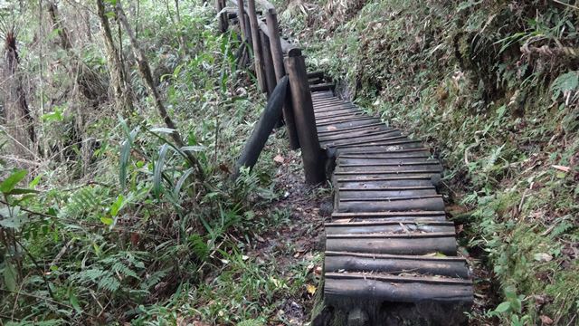 Trilha do Rio Paraibuna, no Parque Estadual da Serra do Mar - Núcleo Cunha.