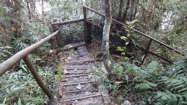 Trilha do Rio Paraibuna, no Parque Estadual da Serra do Mar - Núcleo Cunha.