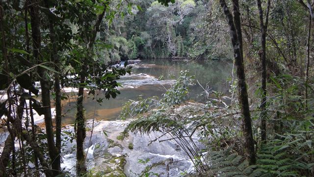 Trilha do Rio Paraibuna, no Parque Estadual da Serra do Mar - Núcleo Cunha.