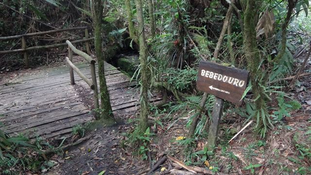 Trilha do Rio Paraibuna, no Parque Estadual da Serra do Mar - Núcleo Cunha.