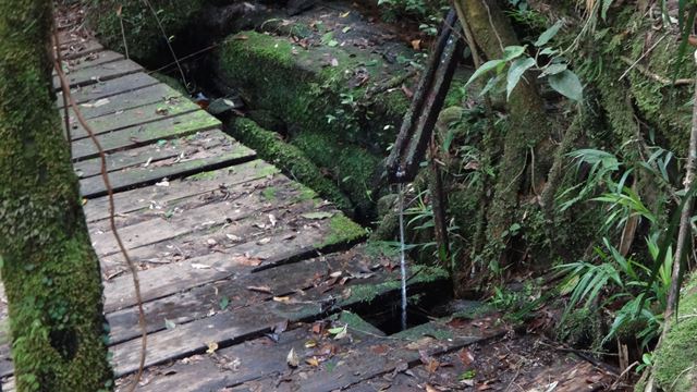 Trilha do Rio Paraibuna, no Parque Estadual da Serra do Mar - Núcleo Cunha.