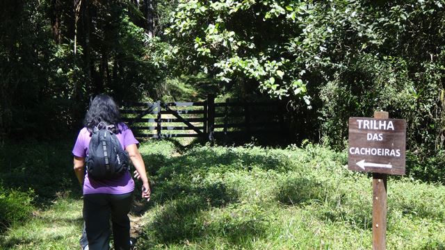 Trilha das Cachoeiras - Parque Estadual da Serra do Mar Núcleo Cunha.