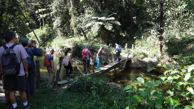 Trilha das Cachoeiras - Parque Estadual da Serra do Mar Núcleo Cunha.