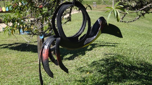 Parque Estadual da Serra do Mar - Núcleo Cunha.