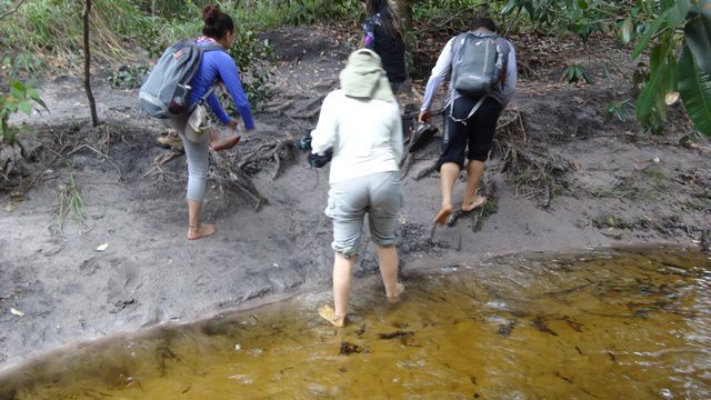 Segunda parte da travessia Águas Claras, na Chapada Diamantina.