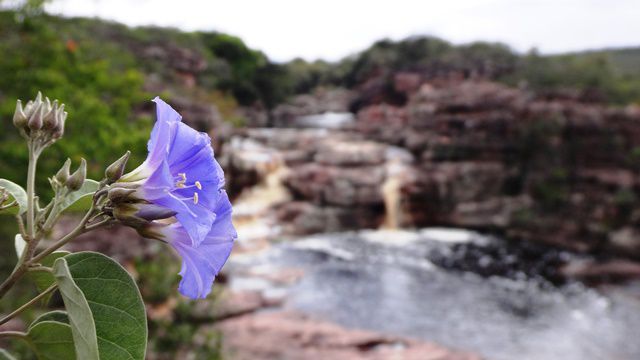 Trilha até a Cachoeira do Buracão, na Chapada Diamantina.