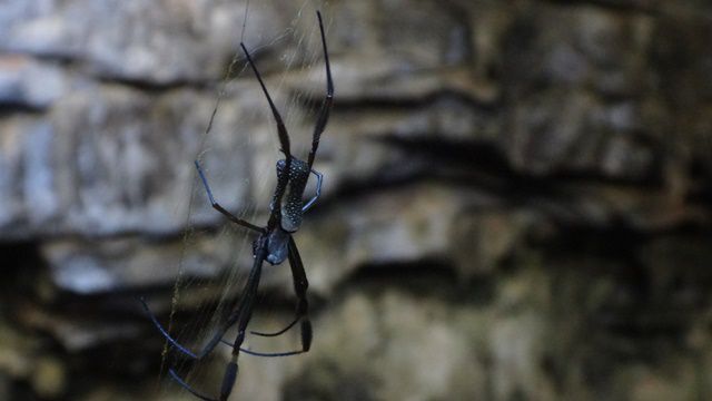 Essa aí era a monitora da Gruta Azul.