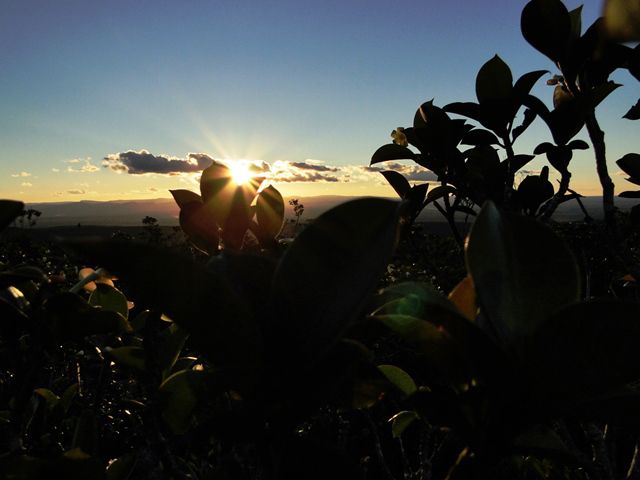 Regulando a máquina para clicar o pôr do Sol.