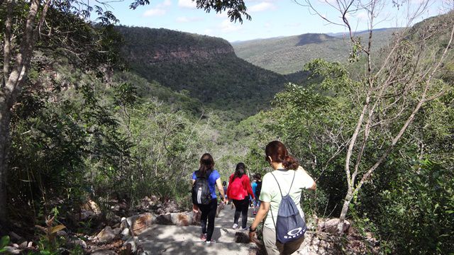 Trilha da Cachoeira do Mosquito.