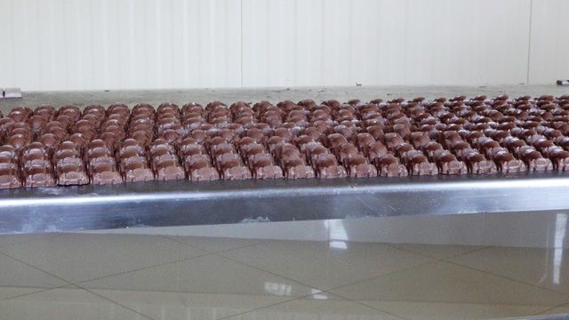 Visita à fábrica de chocolates.