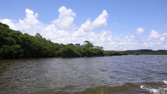 Navegando até Coroa Alta.