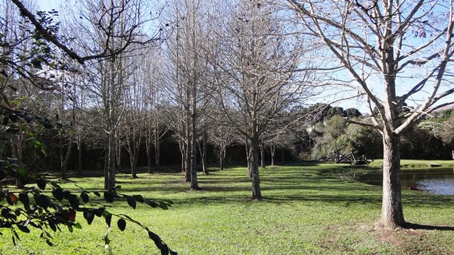 Parque Tingui, em Curitiba.