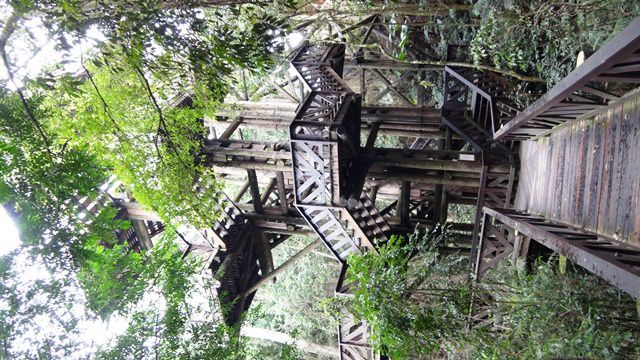 Torre dos Filósofos no Bosque do Alemão.