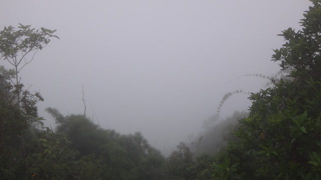 Pico Agudo - Santo Antônio do Pinhal