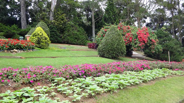 Jardim dos Pinhais Eco Parque - Santo Antônio do Pinhal