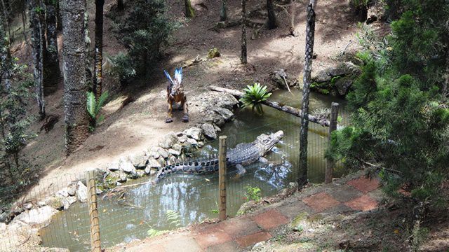 Jardim dos Pinhais Eco Parque - representação dos animais pré-históricos