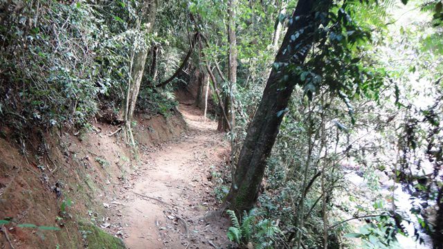 Cachoeira do Lageado - Santo Antônio do Pinhal