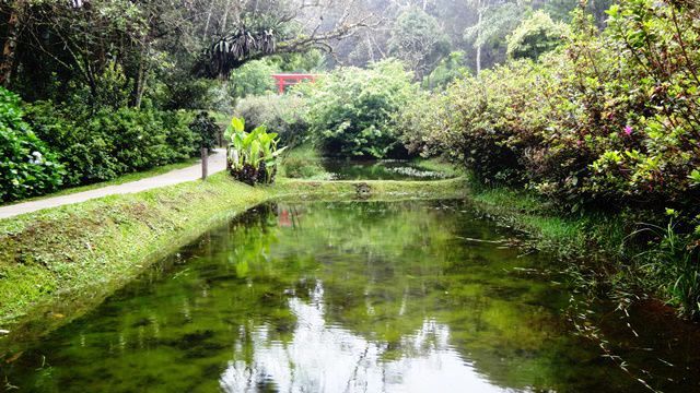 Parque Amantikir - Campos do Jordão