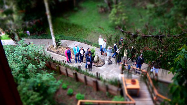 Parque Amantikir - Pessoas na fila para visitar a Casa na Árvore