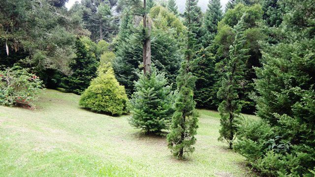 Parque Amantikir - Campos do Jordão