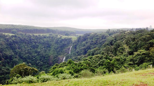 Passeio pela fazenda