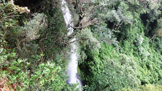 Passeio pela fazenda - Cachoeira da Gruta