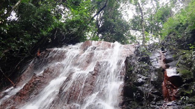 Passeio pela fazenda - Cachoeira do Bambu