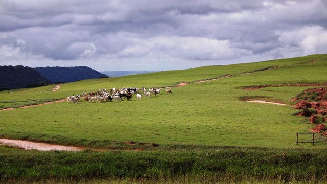 Trilha para a Cachoeira do Mirante