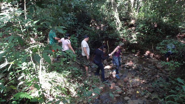 Trilha para a Cachoeira dos Macacos