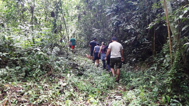 Trilha para a Cachoeira dos Macacos